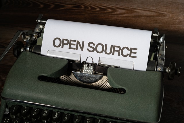 Open-Source Intelligence (OSINT)